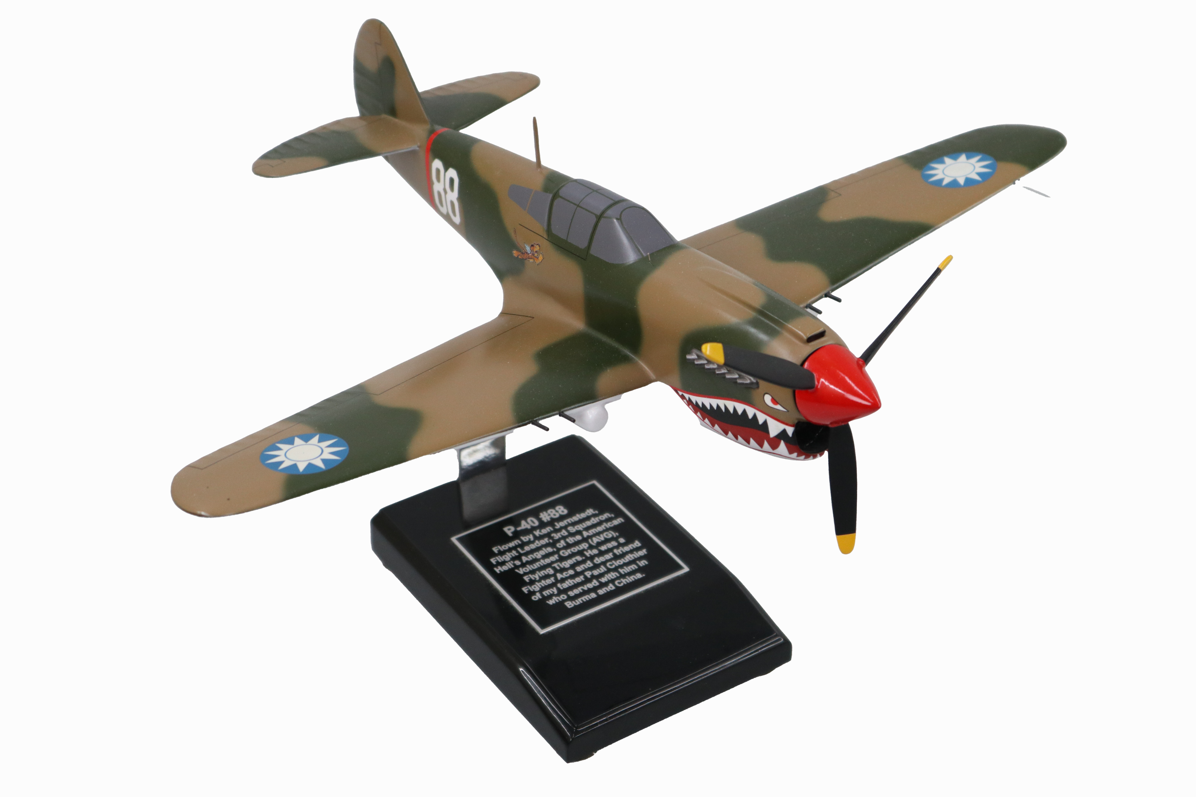 Curtiss P-40E Warhawk Model Custom Made for you