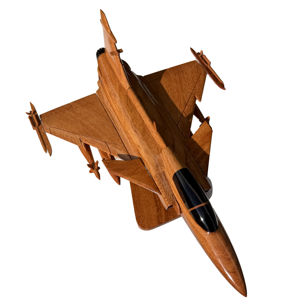 JAS 39 Gripen Fighter jet