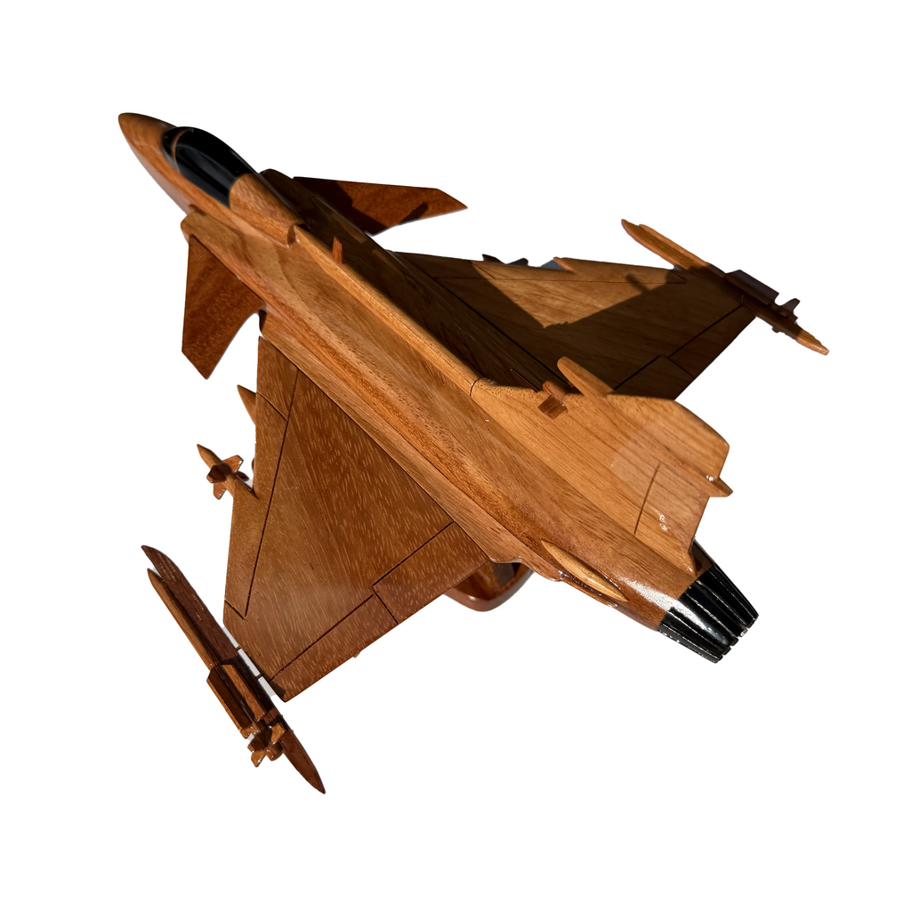 JAS 39 Gripen Fighter jet