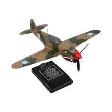 Load image into Gallery viewer, Curtiss P-40E Warhawk Model Custom Made for you