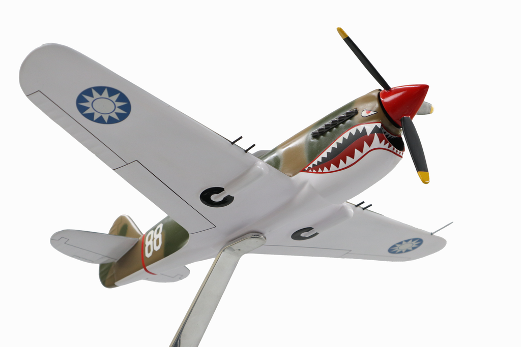 Curtiss P-40E Warhawk Model Custom Made for you