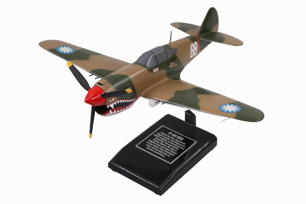 Curtiss P-40E Warhawk Model Custom Made for you