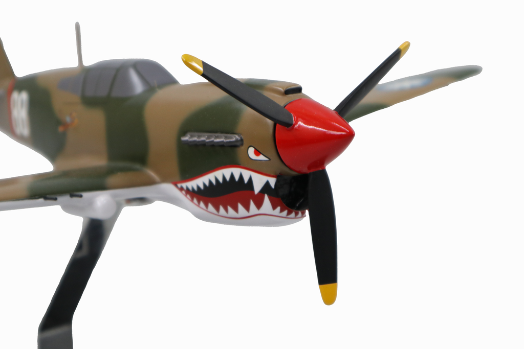 Curtiss P-40E Warhawk Model Custom Made for you