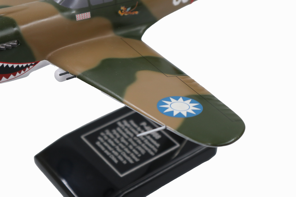Curtiss P-40E Warhawk Model Custom Made for you