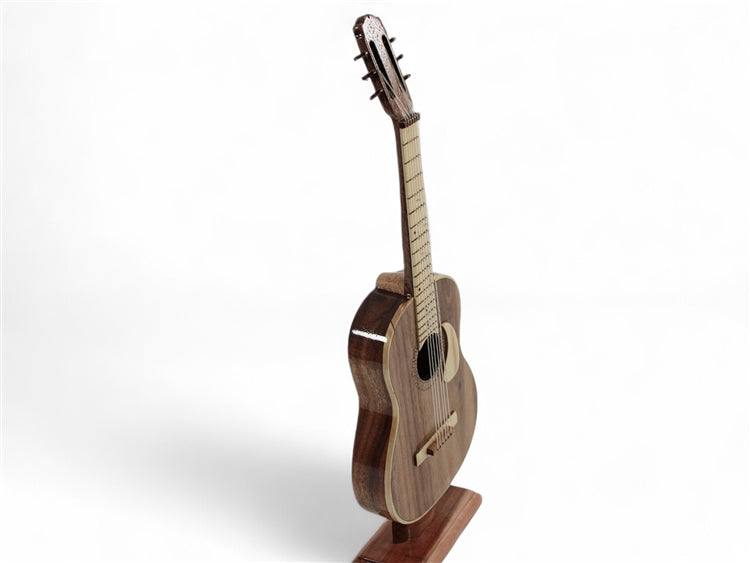 Classic Acoustic Guitar