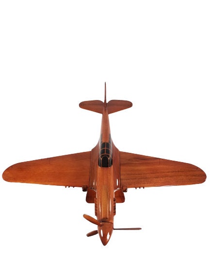 P-40 Warhawk
