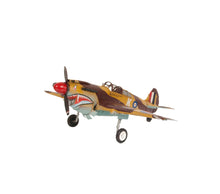 Load image into Gallery viewer, 1941 Curtiss Hawk 81A Metal Handmade Scaled Model