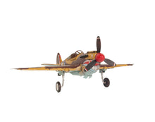 Load image into Gallery viewer, 1941 Curtiss Hawk 81A Metal Handmade Scaled Model