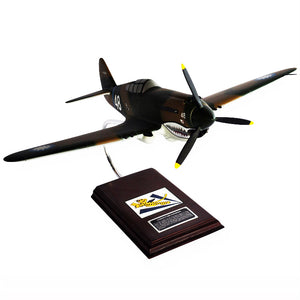 Curtiss P-40B Warhawk flown by Tex Hill Model Custom Made for you