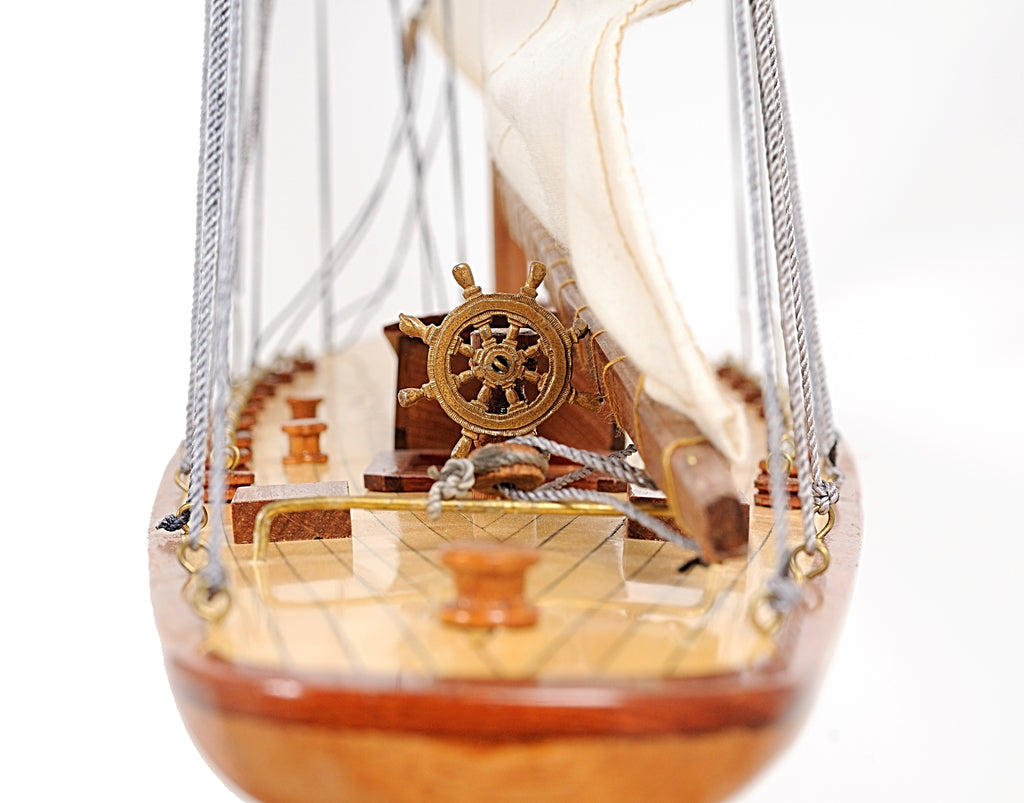 Shamrock Yacht L