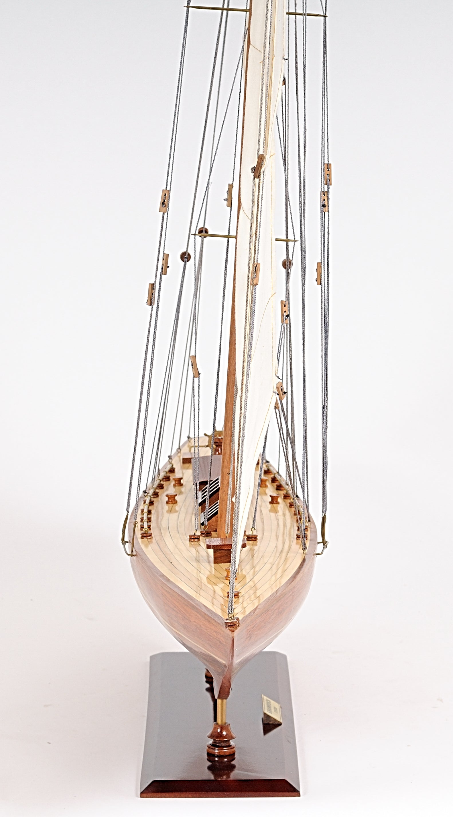 Shamrock Yacht L