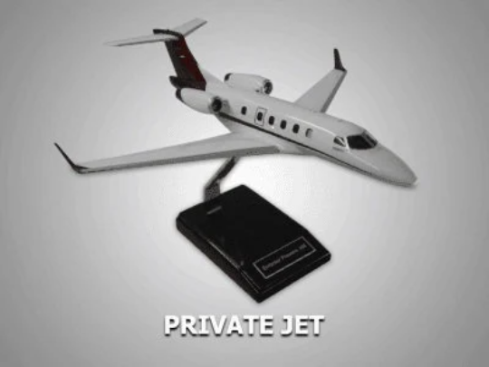 GeeBee R-1 Model Custom Made for you