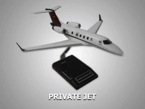 Spirit of St. Louis Model Custom Made for you